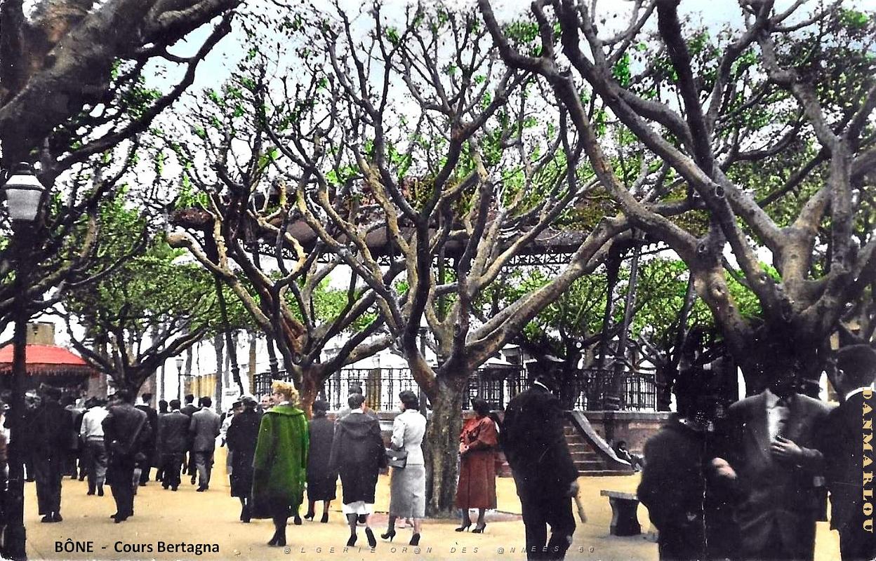 Bone - Cours Bertagna .jpg